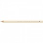 Albrecht Dürer watercolour pencil Ivory